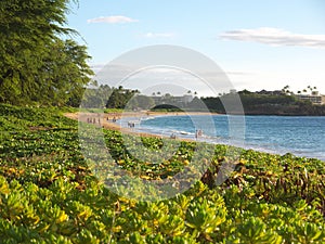 Kaanapali beach in Maui Hawaii