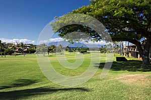 Kaanapali golf course west coast of Maui, Hawaii