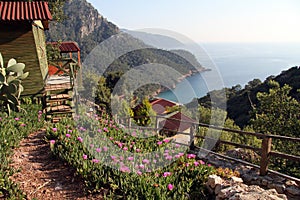 Kabak bay