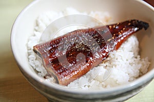 Kabayaki eel on rice japanese style