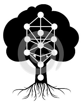 Kabbalah Tree of Life vector symbol on white photo