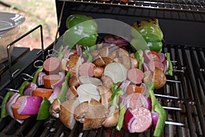 Kabobs on a Charcoal Grill