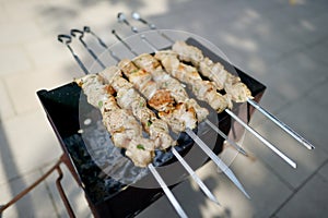 Kabobs grilled on metal skewers