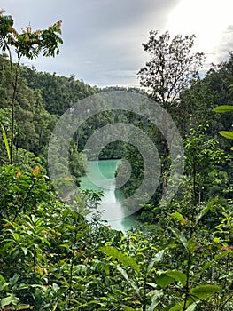River and rainforest, Gam island, Raja Ampat - West Papua, Indonesia photo