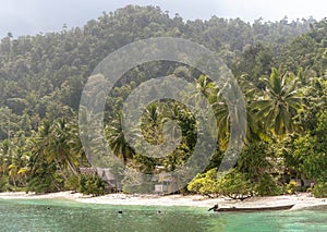 Tropical rainforest and beach, Kabui Bay, Gam Island, Raja Ampat, West Papua, Indonesia. photo