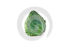 Kachan of young, green cabbage