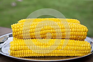 Kachany corn on a tray. Boiled sweet grains photo