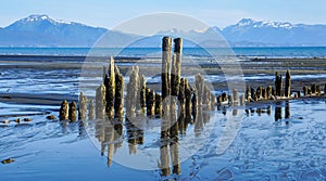 Kachemak Bay Kenai Mountains Homer Alaska photo