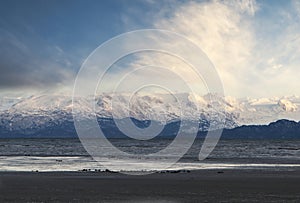 Kachemak Bay in winter with sea otters