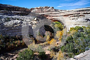 Kachina Natural Bridge