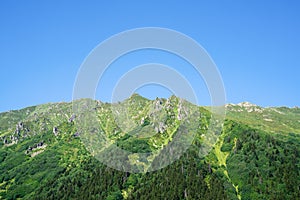 Kackar mountains with green forest landscape in Rize,Turkey.