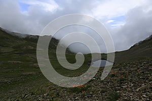 Kackar mountains and the plateaus