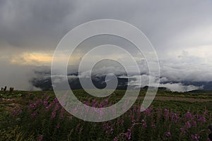 Kackar mountains and the plateaus