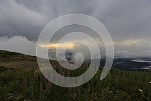 Kackar mountains and the plateaus