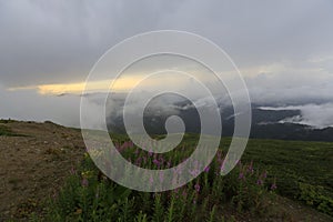 Kackar mountains and the plateaus