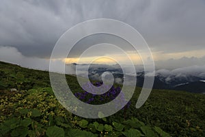 Kackar mountains and the plateaus