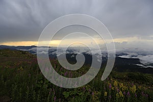 Kackar mountains and the plateaus