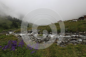 Kackar mountains and the plateaus