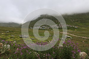 Kackar mountains and the plateaus