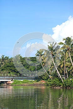 Kadalundi bird sanctuary is spread over a group of islands located in the region where River Kadalundi flows into the Arabian Sea.