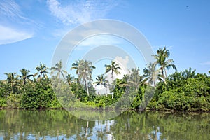 Kadalundi bird sanctuary is spread over a group of islands located in the region where River Kadalundi flows into the Arabian Sea.