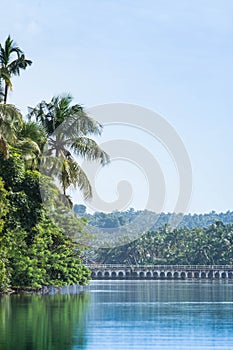 Kadalundi bird sanctuary is spread over a group of islands located in the region where River Kadalundi flows into the Arabian Sea.