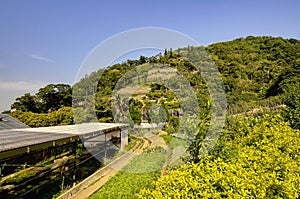 Kadoorie Farm at Hong Kong