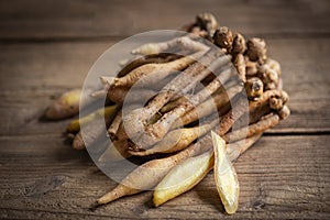 Kaempfer root for food and Thai or Chinese herbal medicine nature - Other names Fingerroot  Chinese Ginger, Galingale, Kaempfer,