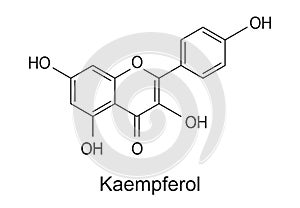 Kaempferol molecule structure, vector chemical formula