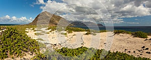 Kaena Point Landscape Panorama