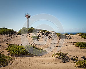 Kaena Point Light Landscape