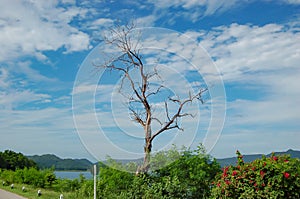 Kaeng Krachan dam at Petchaburi