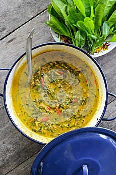 `Kaeng Kua Plalai` or `Thai Spicy Swamp Eel Curry` Is a Traditional Spicy Homemade Curry of Thailan