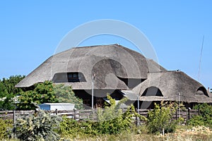 Kafe with cane roof. The roof is made of reeds and reeds