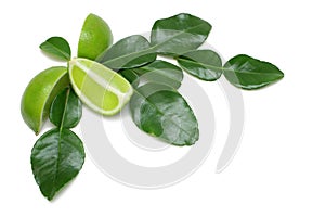 Kaffir Lime