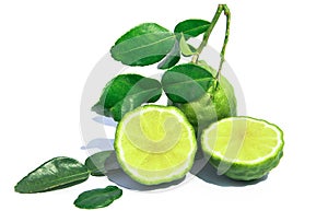 Kaffir lime fruit with green leaves isolated on white background. Cut Leech lime or Bergamot with leaf isolated