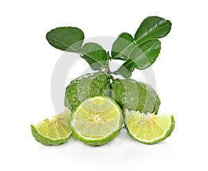 Kaffir lime isolated on white background.