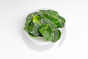 Kaffir lime leaf Daun limau purut isolated on white background