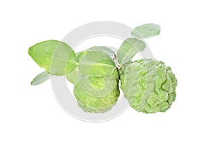 Kaffir lime with leaf isolate on white background