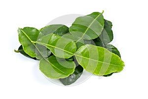 Kaffir lime leaf