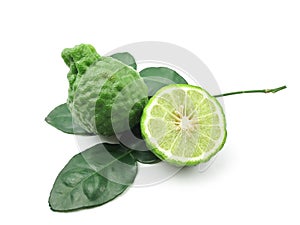 Kaffir Lime with leaves photo