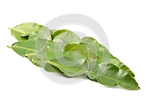 Kaffir lime leaves