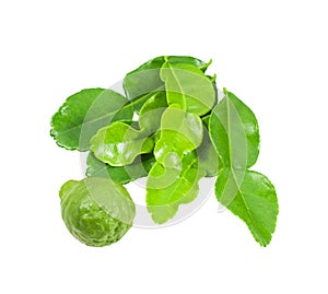 Kaffir Lime and leaves isolated with clipping path