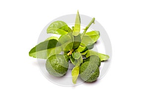 Kaffir lime on white background