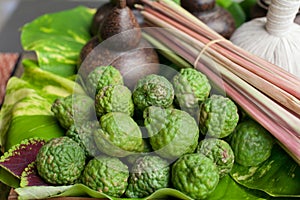 Kaffir Thai herbals are seasoning and ingredient for almost of Thai food such as TOM YUM KUNG and can use of natural SPA as well