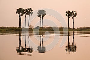 Kafuie river photo