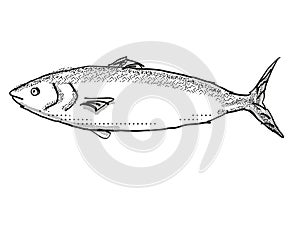 Kahawai New Zealand Fish Cartoon Retro Drawing