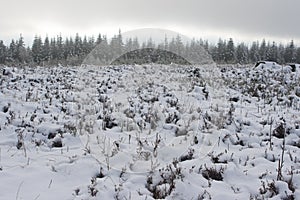 Kahler Asten, Germany