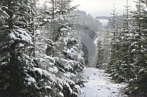 Kahler Asten, Germany