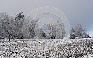 Kahler Asten, Germany